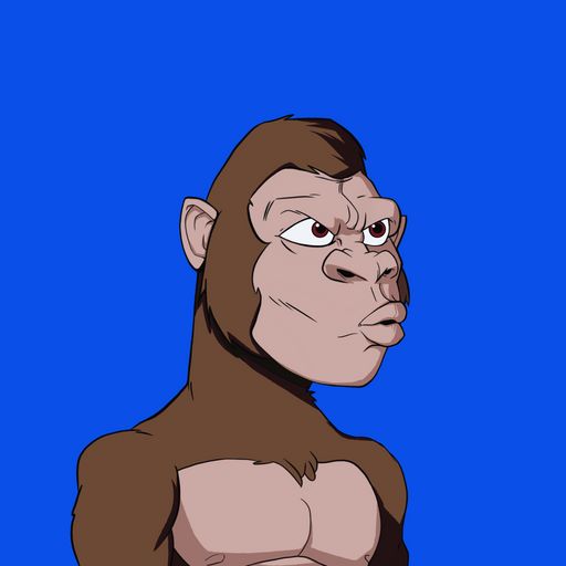 #3004 Kong