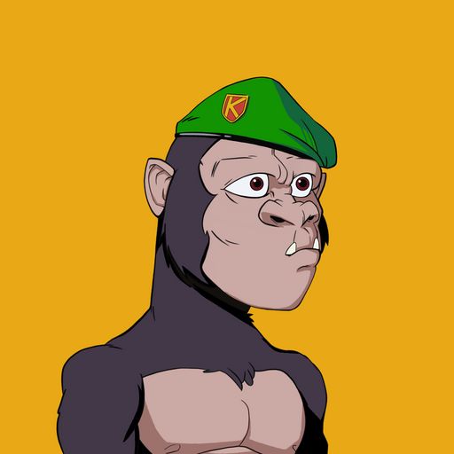 #5855 Kong